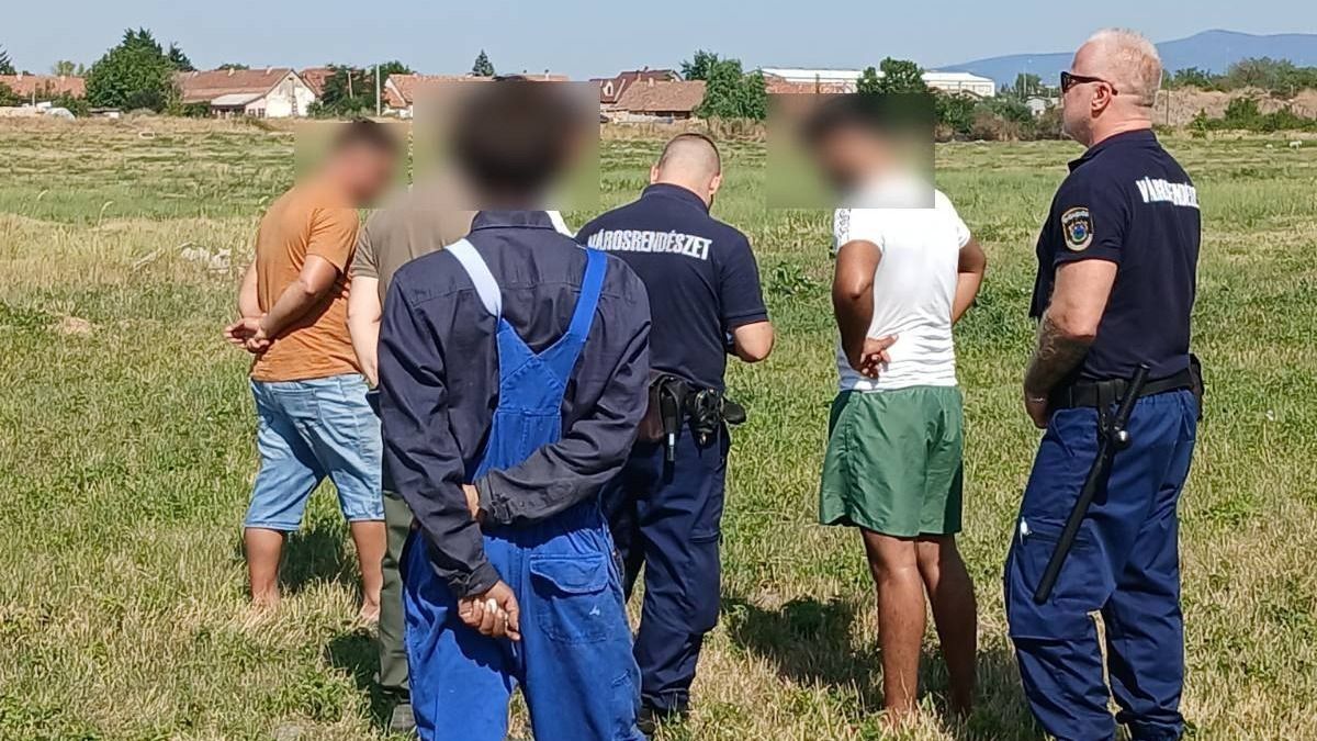 Elkapták az illegális szemetelőket Gyöngyösön. Forrás: Városrendészet Gyöngyös/Facebook