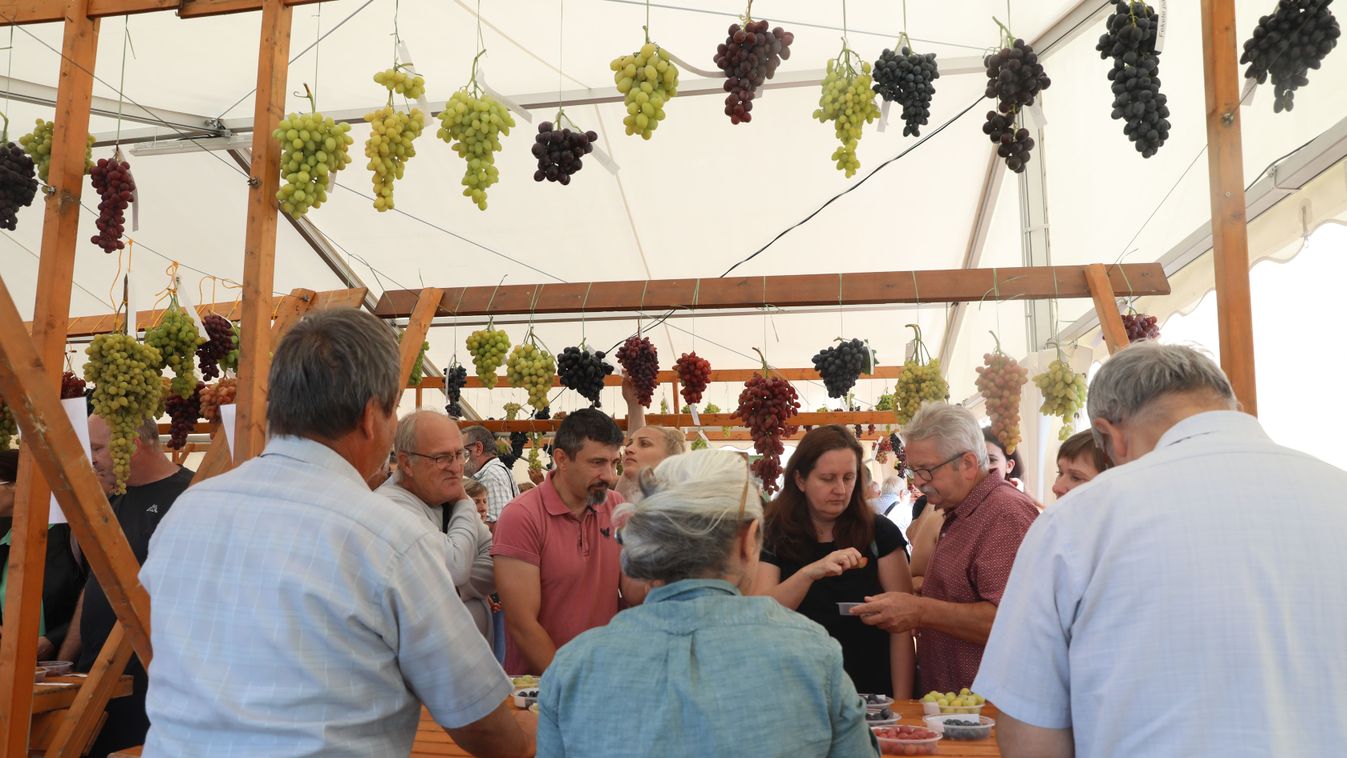 Fotó: Kovács Liliána