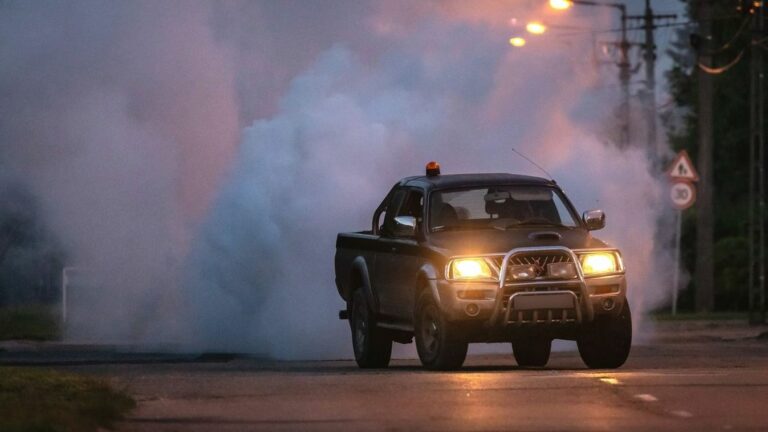 Már Baranyában is elkezdték a szúnyoggyérítési folyamatokat Fotó: MW