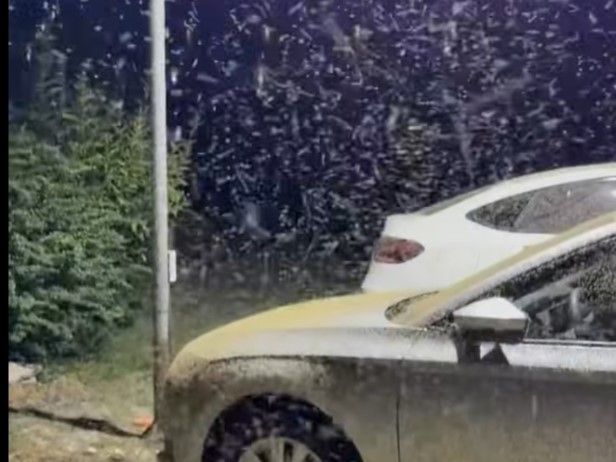 Szeptemberben is jelentős árvaszúnyograjzásra számíthatunk a Balaton part-menti területein