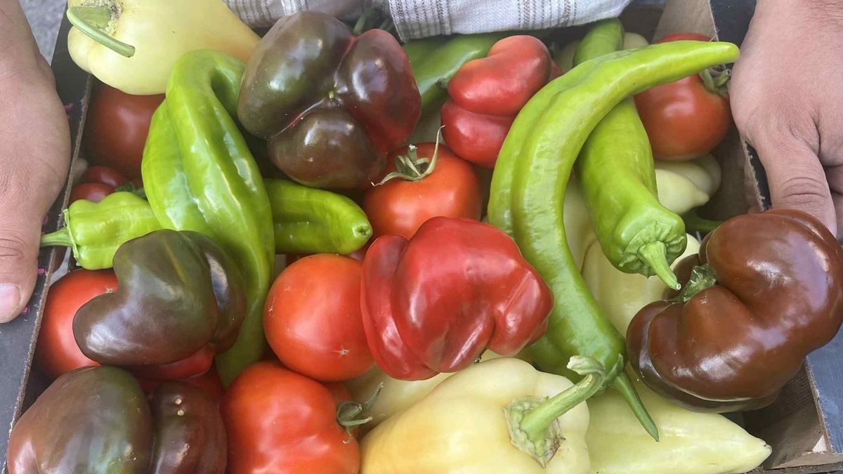 A termelői piac szép árut kíván - Káli Boglárka pénteki kínálata a káli piacon Forrás: Szabó István / Heol.hu