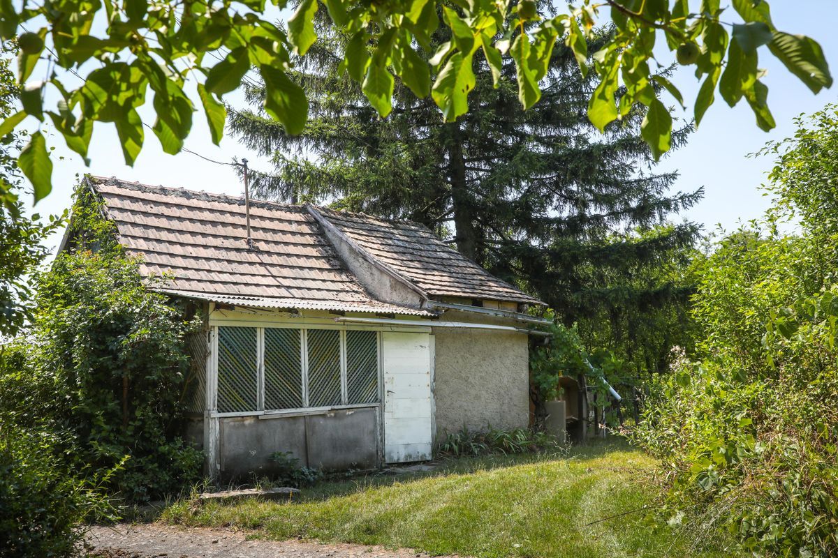 Nyár elején módosult az ingatlan-nyilvántartási törvény, a zártkerti ingatlant érinti, könnyebbséget okoz Fotó: Mogyorósi Zsolt Pipó / Forrás: boon.hu