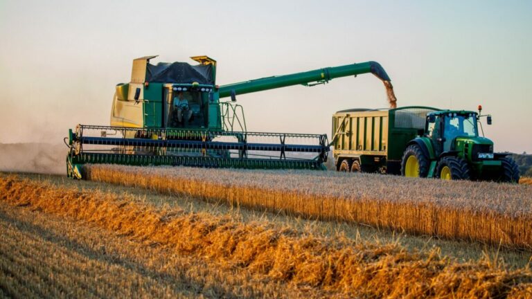 „A műtrágya magas ára sokakat takarékosságra kényszerített az aszályos régiókban – ez szintén a hozamokat sújtotta” – mondta Denisz Marcsuk, az Összukrán Agrártanács alelnöke.