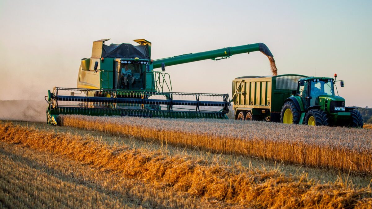 „A műtrágya magas ára sokakat takarékosságra kényszerített az aszályos régiókban – ez szintén a hozamokat sújtotta” – mondta Denisz Marcsuk, az Összukrán Agrártanács alelnöke.