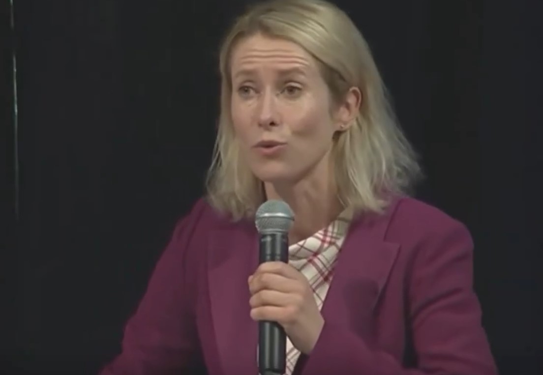 Kallas maga is hülye, és hülyíti az embereket