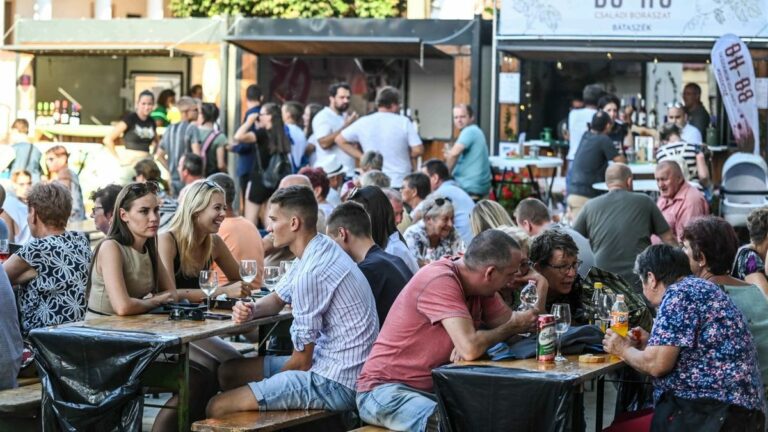 Eddig minden évben több százan voltak kíváncsiak a bátaszéki bornapokra. Forrás: Tolnai Népújság/archív