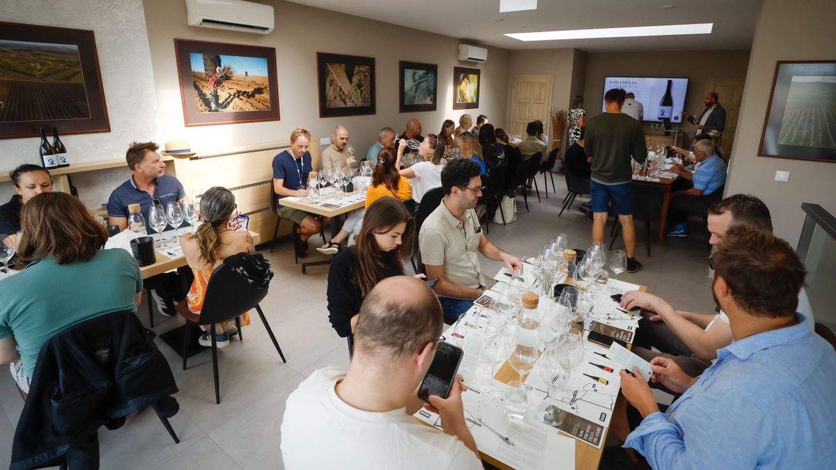 A Bor 2025 résztvevői szombaton a Tóth Ferenc Pincészetbe is ellátogattak Forrás: Nemes Róbert / Heol.hu