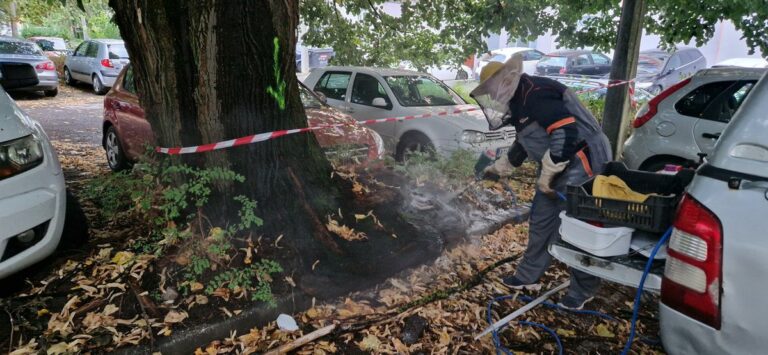 Figyelmeztet a Kötél: az ősz újabb veszélyforrással tör be