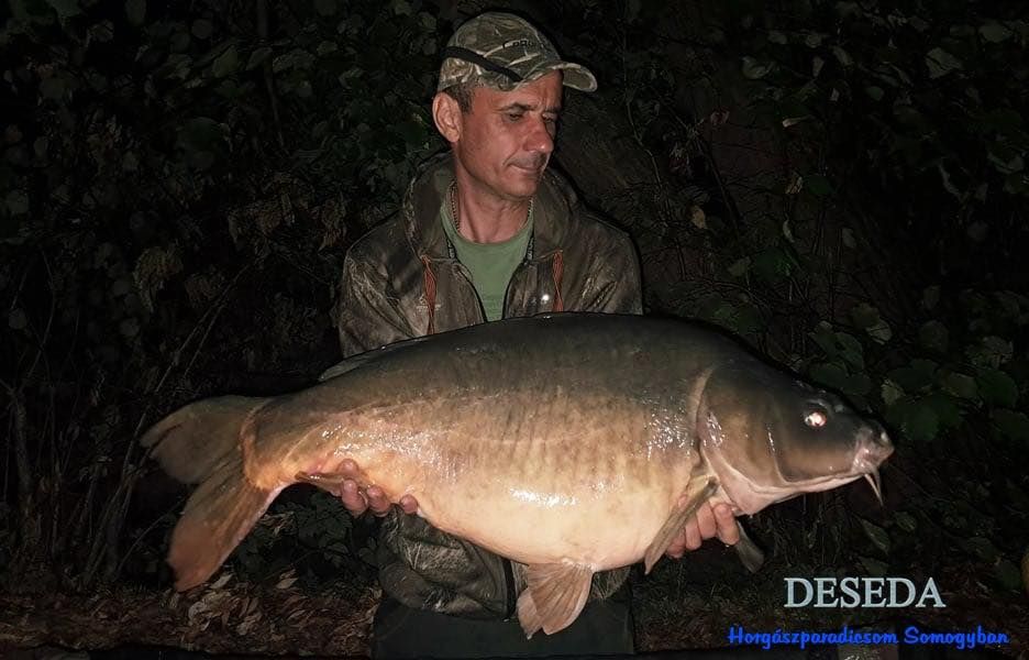 Stadler Zsolt a Toponári oldalon közel 19 kg-al mérlegelt tükörpontyot fogott