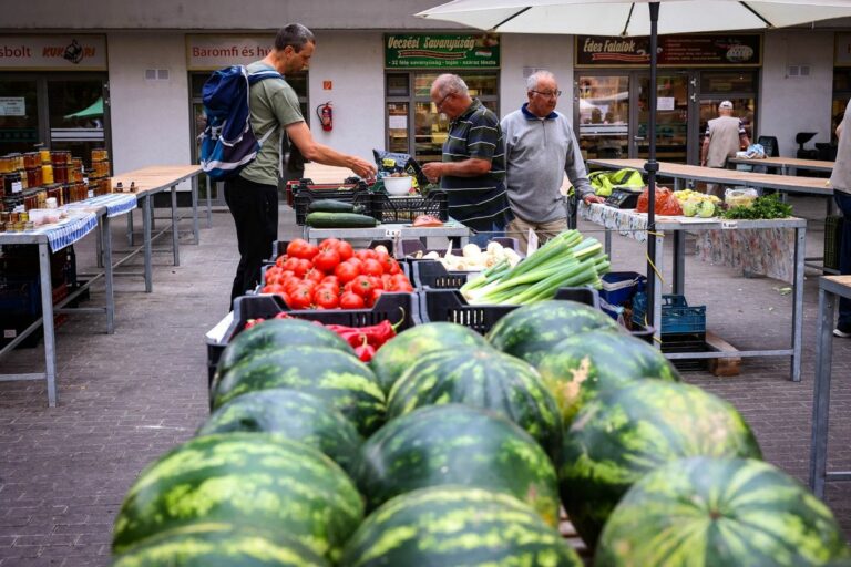 Bár a piacon és néhány üzletben még lehet vásárolni belőle, de a dinnye szezonja lassan véget ér. Forrás: Mártonfai Dénes