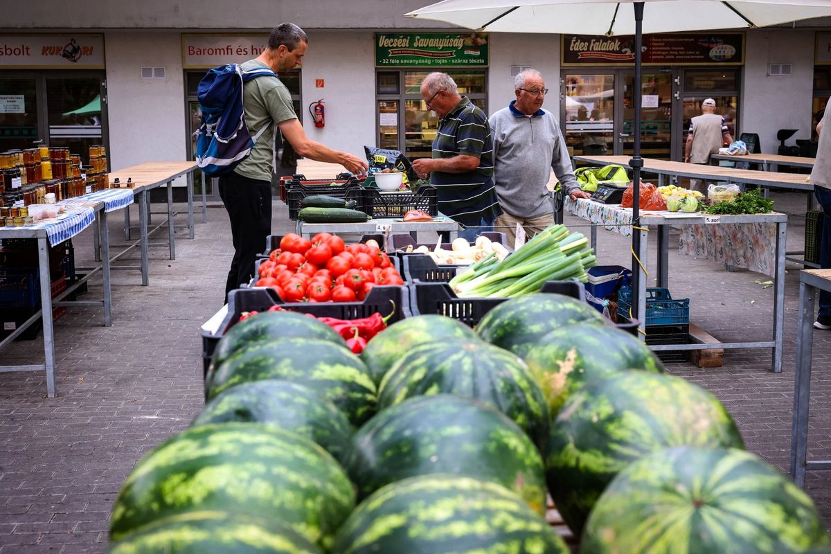 Bár a piacon és néhány üzletben még lehet vásárolni belőle, de a dinnye szezonja lassan véget ér. Forrás: Mártonfai Dénes
