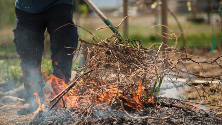 Illusztráció Forrás: Shutterstock Fotó: Heidi Ihnen Photography