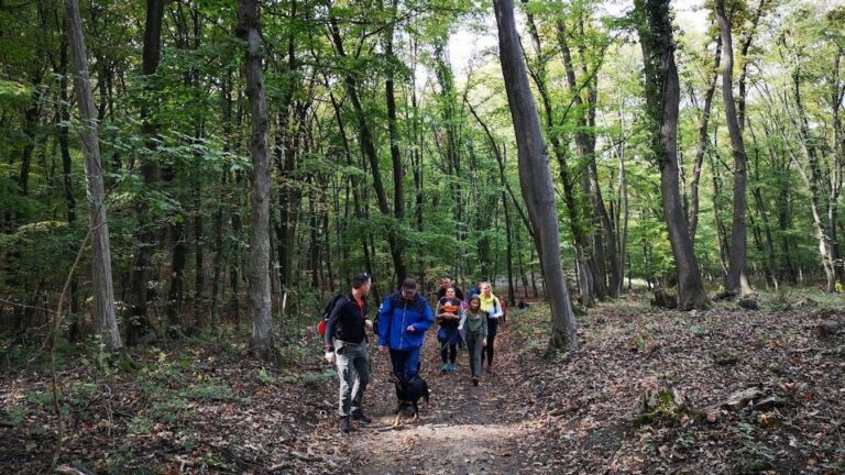 Fotó: Krausz Andrea