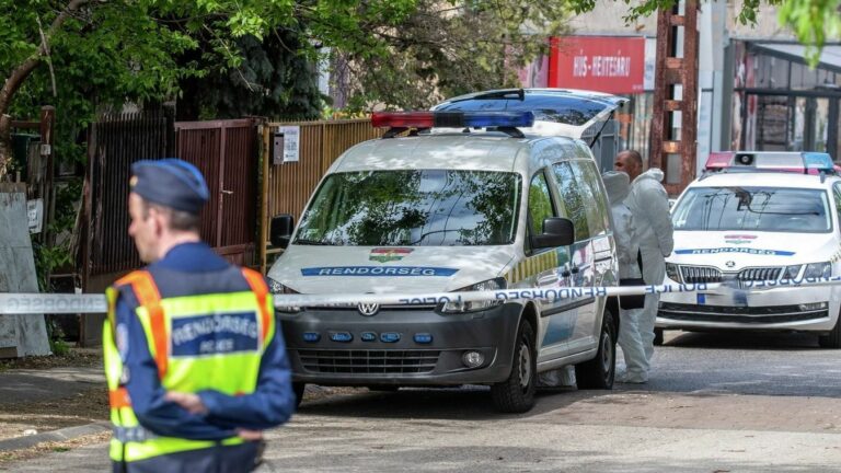 Nagy erőkkel keresik a külföldi bűnözőt. Forrás: MW/Illusztráció Fotó: Szabolcs László