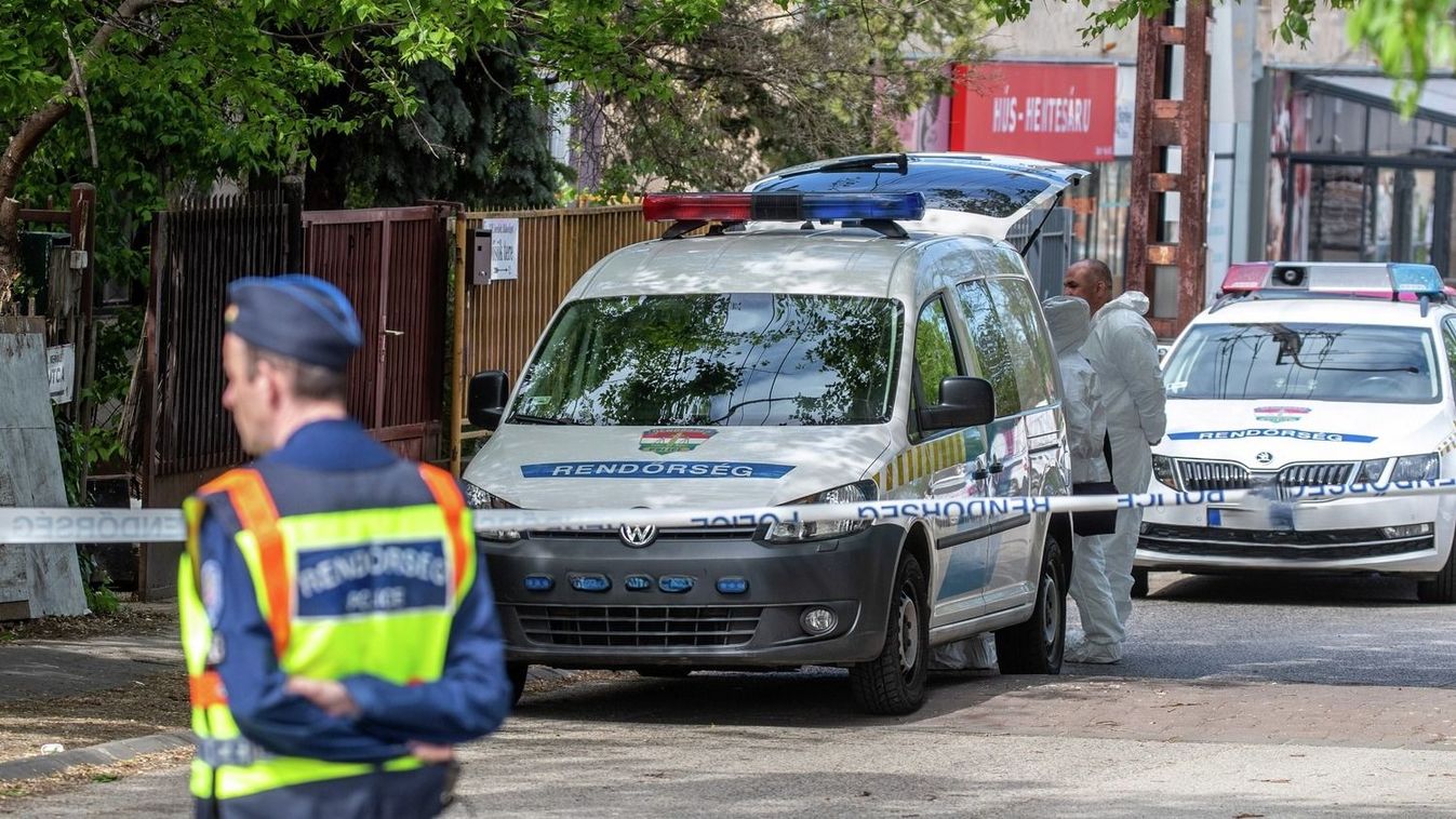 Nagy erőkkel keresik a külföldi bűnözőt. Forrás: MW/Illusztráció Fotó: Szabolcs László