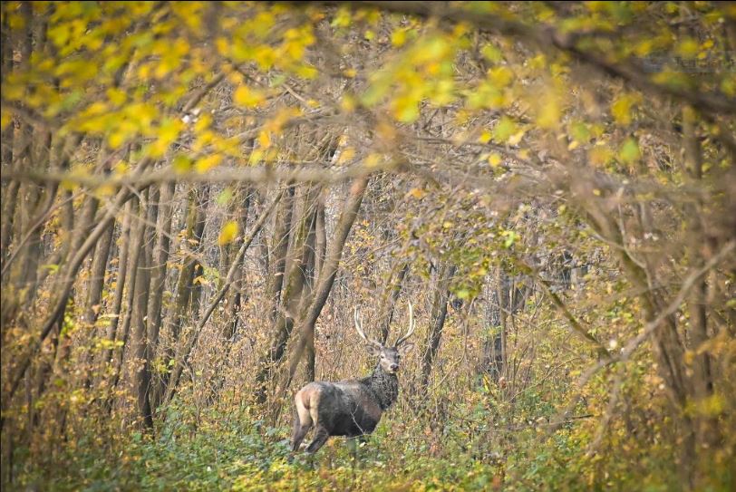 Fotók: Makovics Kornél