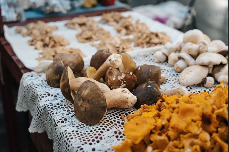 "Ezen a héten már jócskán akadt gomba a piacon, szegfűgomba, vargánya és rókagomba is akadt..."