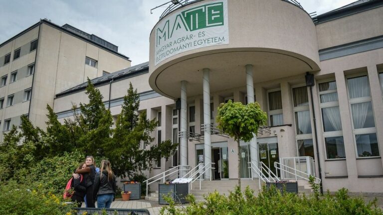 A próbanyelvvizsga szeptember 26-án ingyenes lesz a gyöngyösi campuson Forrás: Czímer Tamás / Heol.hu