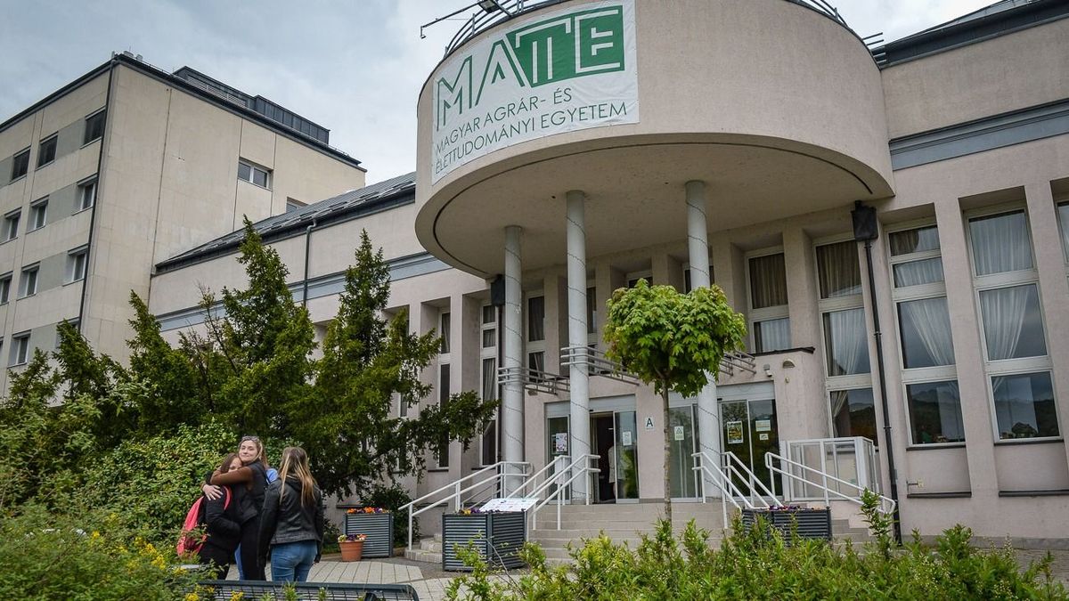 A próbanyelvvizsga szeptember 26-án ingyenes lesz a gyöngyösi campuson Forrás: Czímer Tamás / Heol.hu