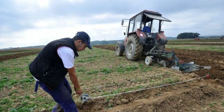 "Úgy tűnik, a termőföld jó befektetés a jövőben is."