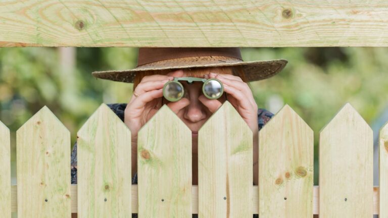 Címlap fotó: sonline.hu