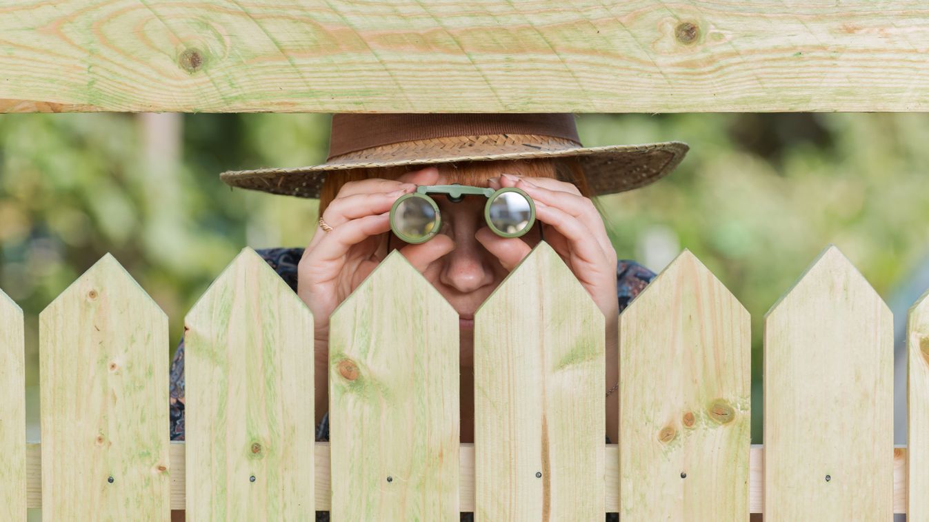 Címlap fotó: sonline.hu