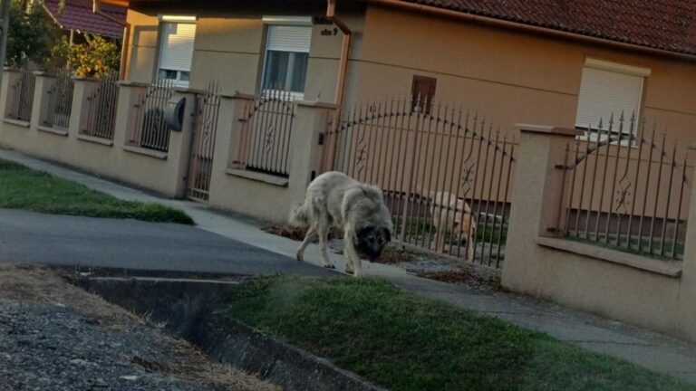 Önbíráskodástól tart a polgármester. Forrás: Olvasói fotó