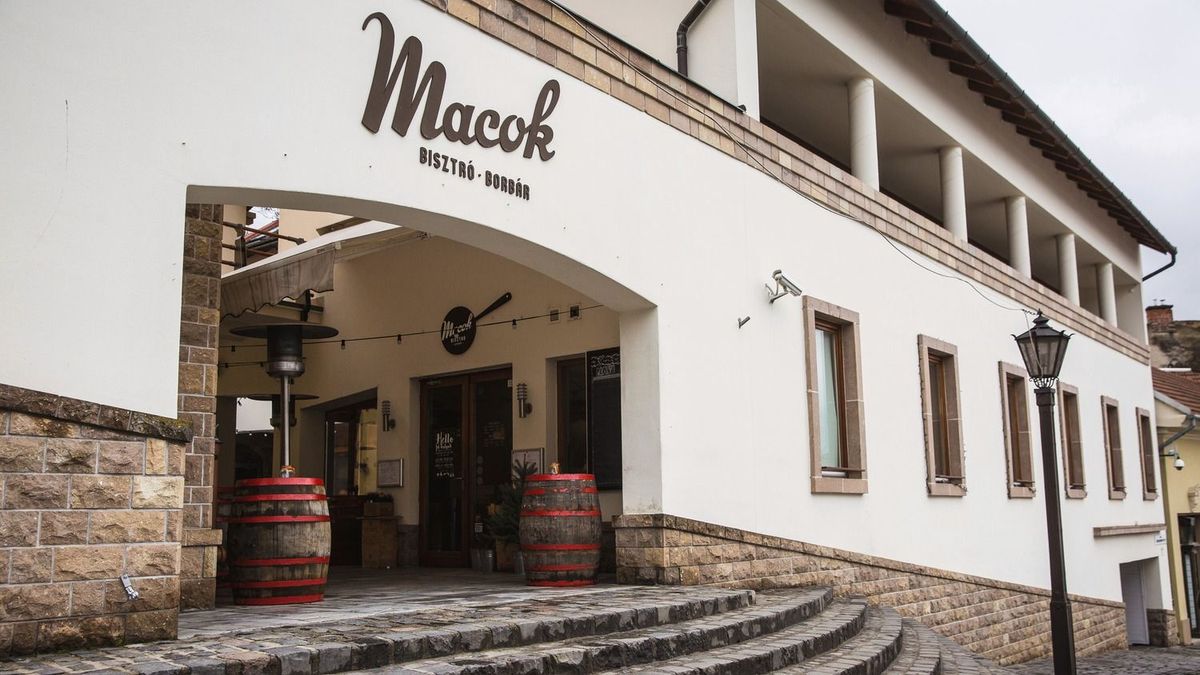 Az egri Macok Bisztró a Michelin-ajánlás után most a Gault&Millau elismerését is begyűjtötte: 2 sapkával és 14 ponttal került be az ország legjobb éttermei közé. Fotó: Kállai Márton