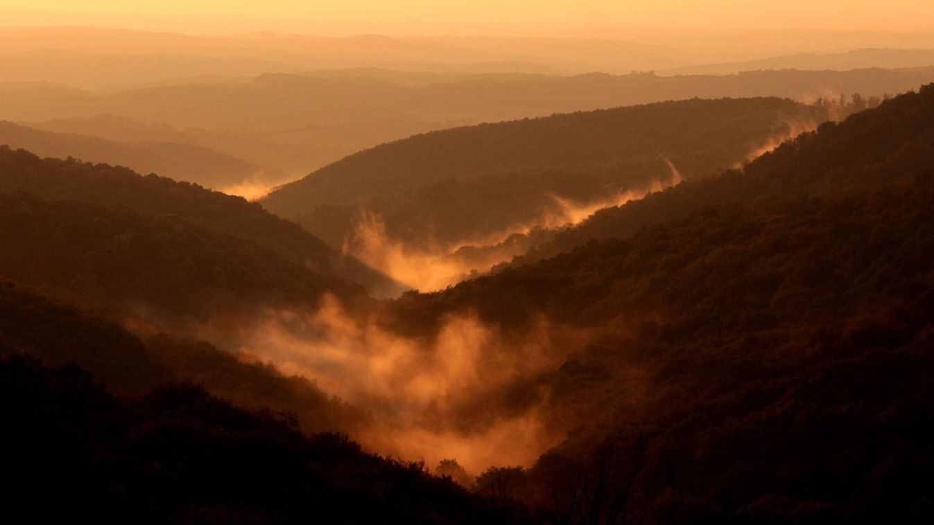 Forrás: Zöld Kapocs Pécs