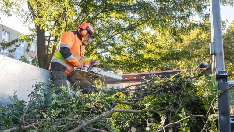 "...fokozott figyelemmel közlekedjenek!"