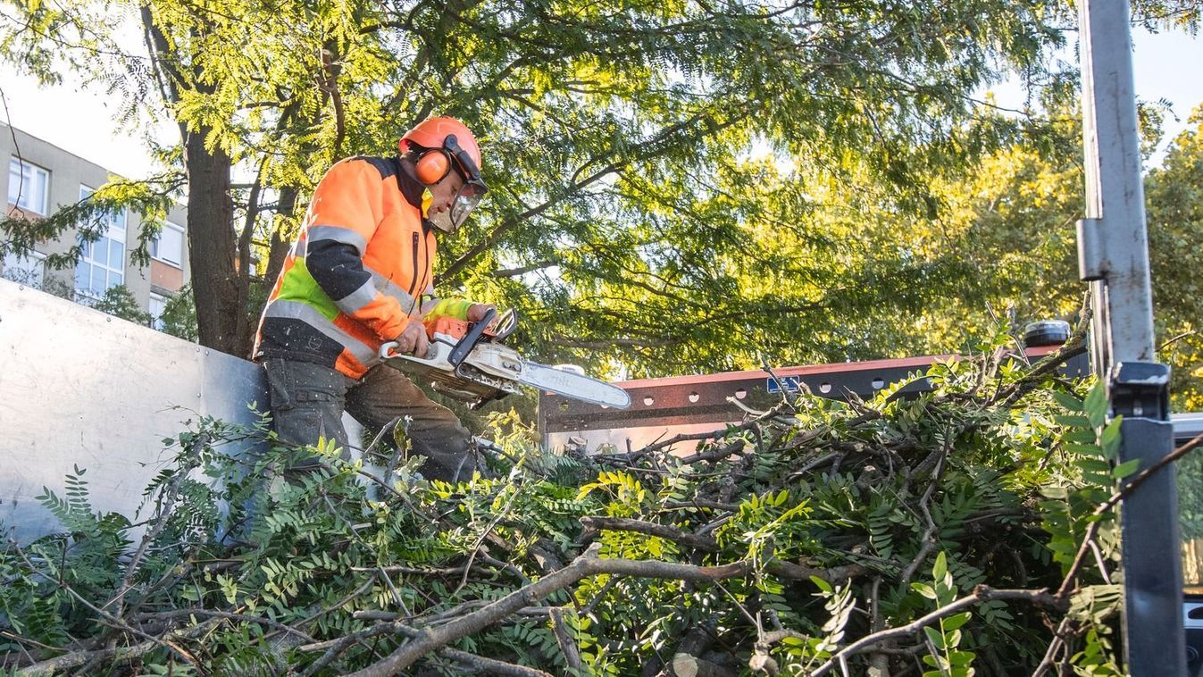 "...fokozott figyelemmel közlekedjenek!"