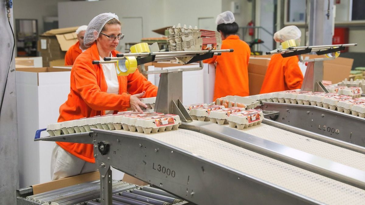 Hazánkban idén 230 ezren kapnak minimálbért, garantált bérminimumot pedig mintegy 700 ezren kapják kézhez minden hónapban Forrás: Világgazdaság/ Rákóczy Ádám