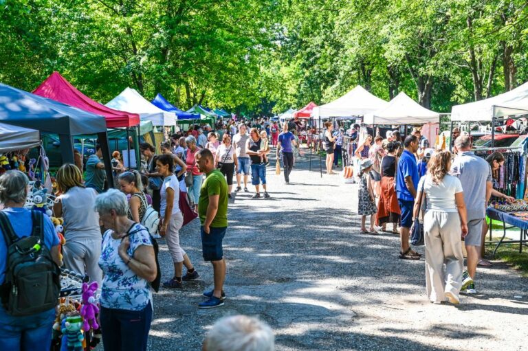 A termelői piacok közül az egyik legnépszerűbb: Völgy piac a Sötétvölgyben, Szekszárd szomszédságában, minden hónap második vasárnapján Fotó: Kiss Albert / Forrás: Tolnai Népújság