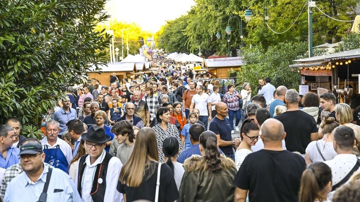 A több ezer érdeklődő között nehéz kiszúrni, ki a civil ruhás revizor, adóellenőr Fotó: Kiss Albert / Forrás: Tolnai Népújság