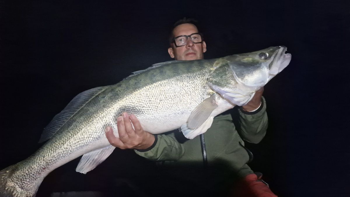 Hatalmas süllőt varázsolt ki a Dunából a mohácsi Busóudvar vezetője.