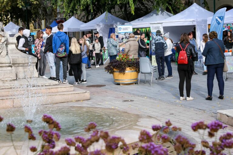 Szakképzési kiállítás Fotó: Denes Martonfai / Forrás: TEOL