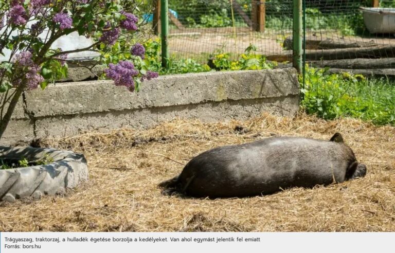 Trágyaszag, traktorzaj, a hulladék égetése borzolja a kedélyeket. Van ahol egymást jelentik fel emiatt Forrás: bors.hu