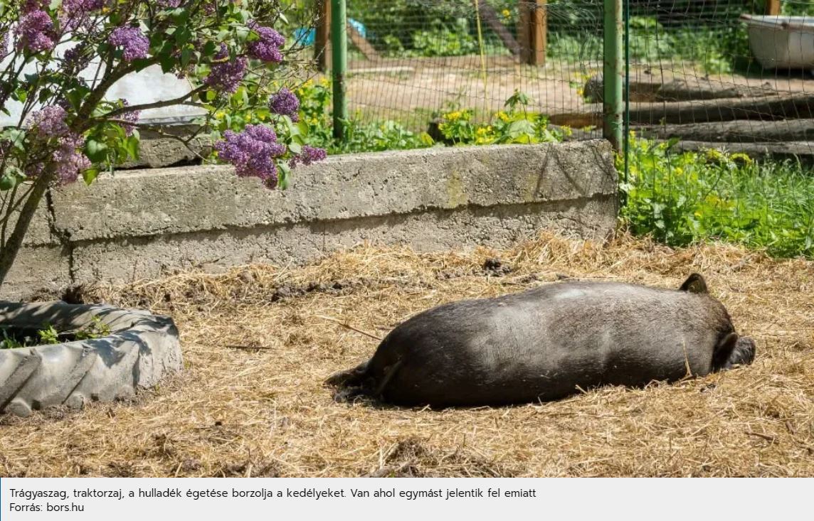 Trágyaszag, traktorzaj, a hulladék égetése borzolja a kedélyeket. Van ahol egymást jelentik fel emiatt Forrás: bors.hu