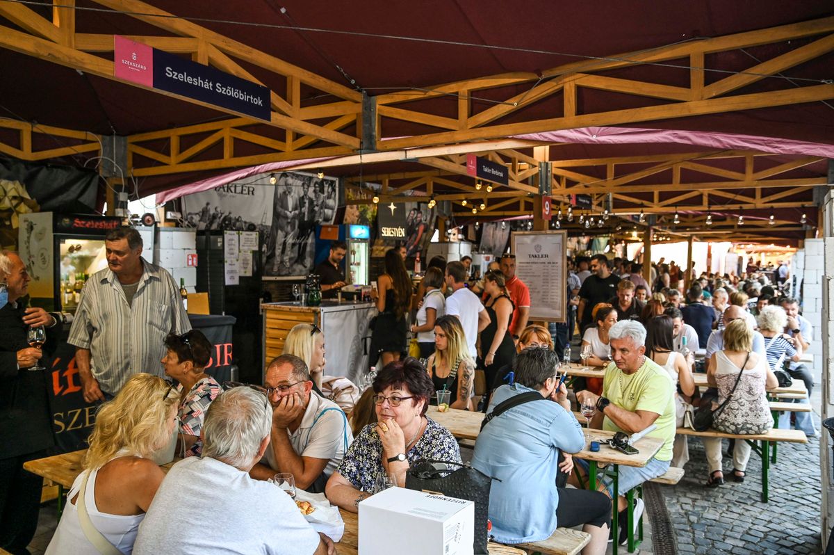A rendőrség adatai szerint jól vizsgáztak a Szekszárdi Szüreti Napok résztvevői Fotó: Kiss Albert