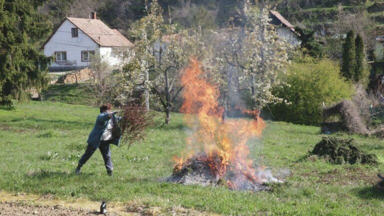 Amennyiben nincs ilyen rendelete az önkormányzatnak, abban az esetben nem szabad avart és kerti hulladékot égetni.