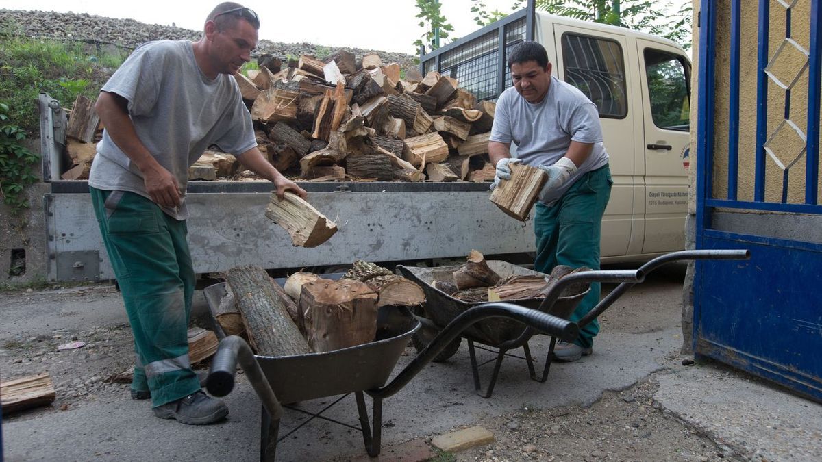 Indul a fűtési szezon, ezek már az utolsó hetek, hogy gondoskodjunk a télire való tűzifáról Fotó: MW / Forrás: MW