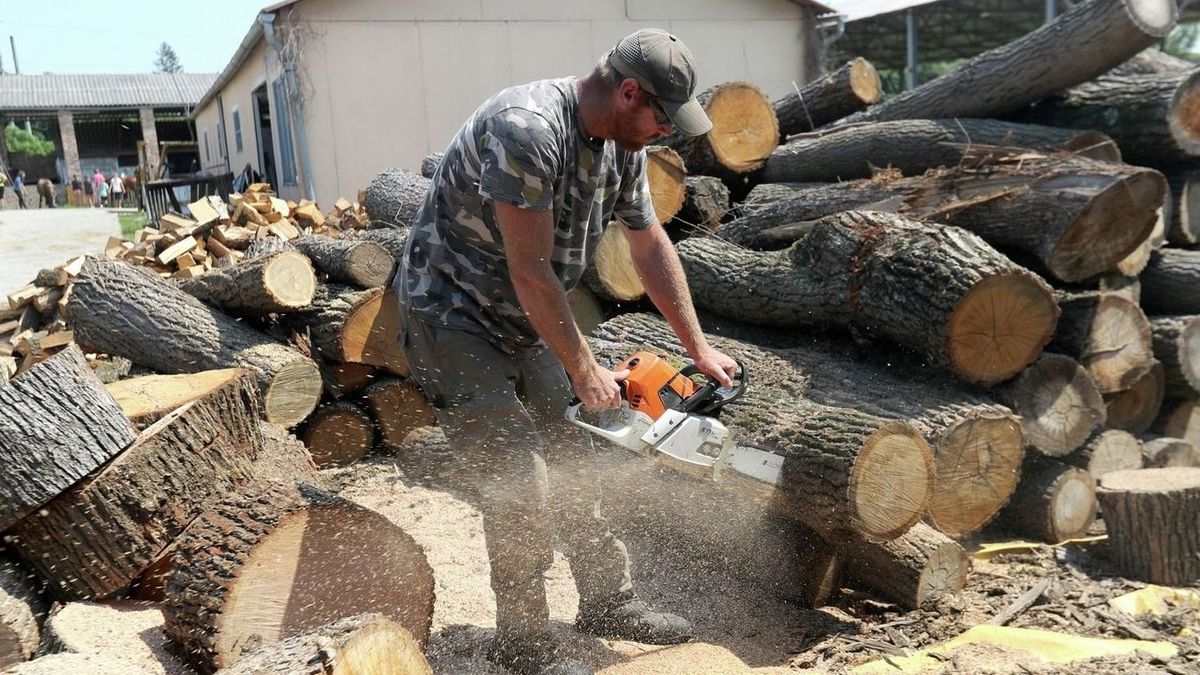 Már beadható Pakson a szociális tűzifa iránti kérelem (illusztráció) Fotó: MW