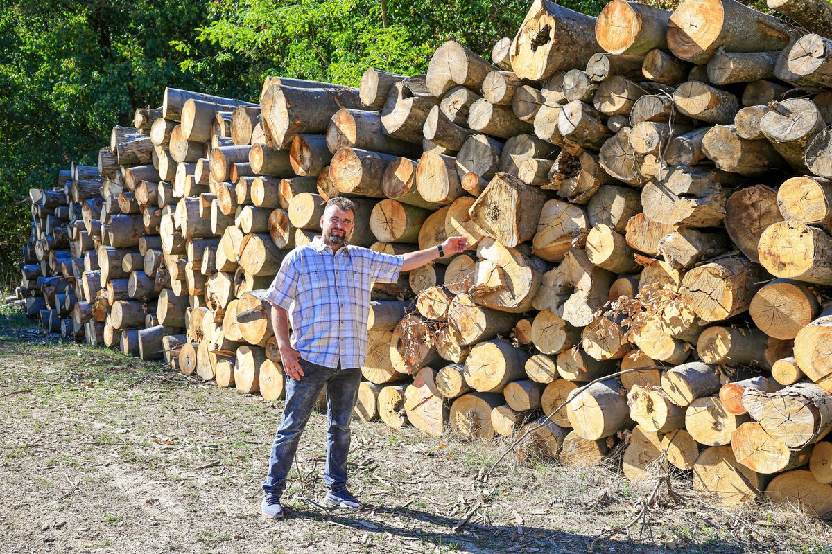 Koroknai Ernő Róbert azt mutatja, hogy Bátaapátiban már halomban áll a szociális tűzifa. Fotó: Makovics Kornél