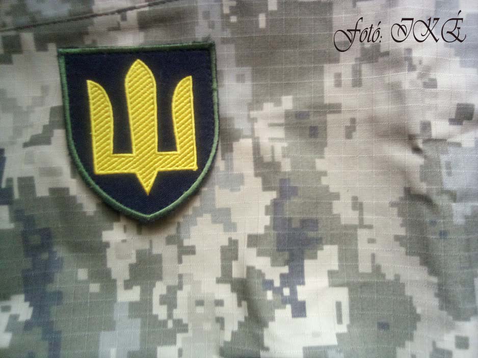 "...eddig csaknem 21 000 személy került be a hadkötelesek, sorkötelesek és tartalékosok országos adatbázisába..."