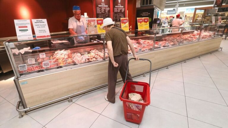 A nyugdíjasok élelmiszer-utalványa nagy segítség a kasszánál Fotó: Kallus György