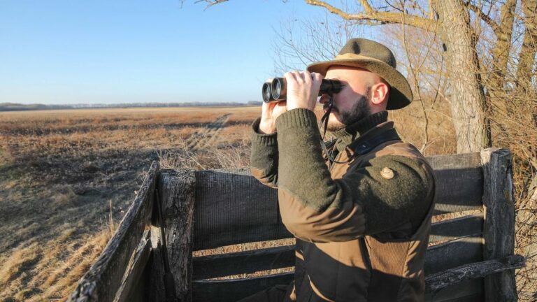 Forrás: MW Fotó: Csapó Balázs