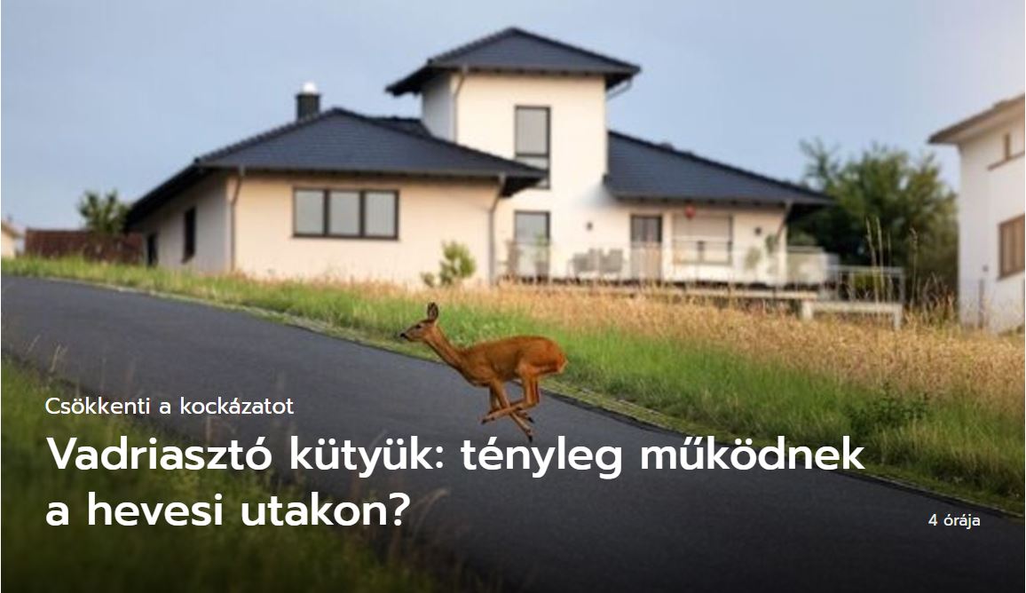 Számos vadriasztó eszköz létezik. Bár az üzekedő őzek mással vannak elfoglalva Forrás: Shutterstock