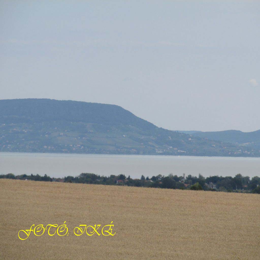 ...a pontyokat a balatonlellei kikötőben telepítették a Balatonba a helyi horgászok jelenlétében...