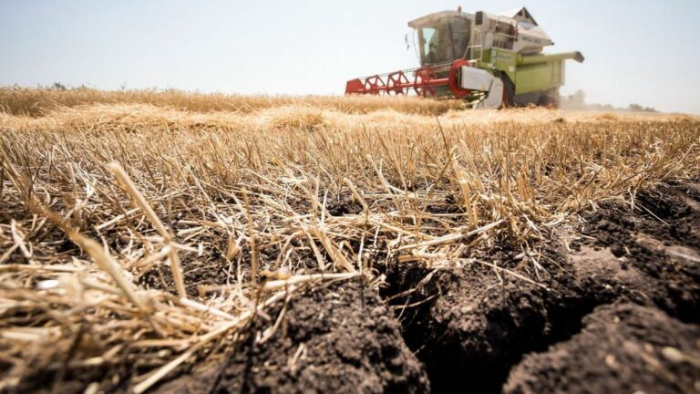 Nehéz helyzetben a mezőgazdaság. Aszály és vihar is pusztított a földeken Forrás: MW-archív