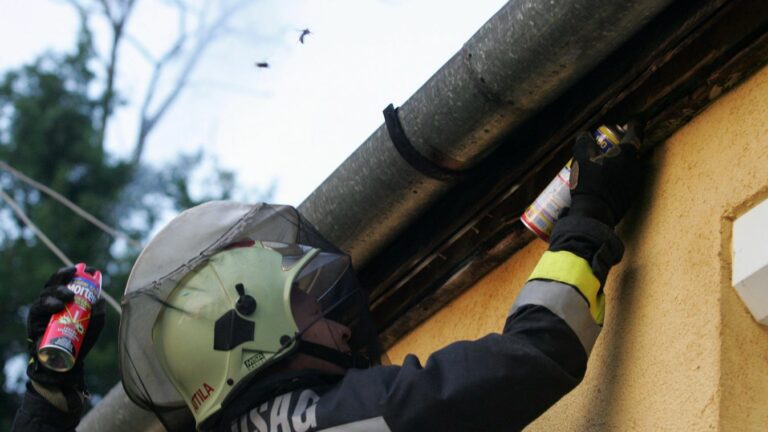 Fotó: MTI Zrt. Fotószerkesztõség